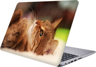

PRINTCLUB Laptop Sticker 15.6 inch-Premium Quality, UV Printed, Laminated, Bubble Free, Scratchproof Laptop Skin-126 Vinyl Laptop Decal 15.6