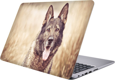 

LUCANT german sepherd Laptop Sticker 15.6 inch-Premium Quality, UV Printed, Laminated, Bubble Free, Scratchproof Laptop Skin-151 Vinyl Laptop Decal 15.6