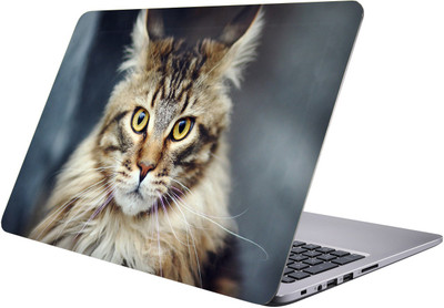 

LUCANT cat Laptop Sticker 15.6 inch-Premium Quality, UV Printed, Laminated, Bubble Free, Scratchproof Laptop Skin-124 Vinyl Laptop Decal 15.6