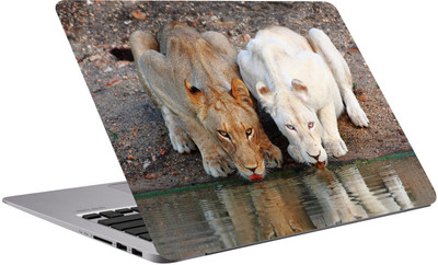 

Richerbrand White Tiger Laptop Sticker 15.6 inch-Designer laptop sticker-laptop skin sticker-296 Premium Quality,Bubble Free,Scratchproof,unique Laptop Skin/Cover for 15.6 inches/3m Vinyl Laptop Decal 15.6