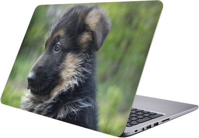 

LUCANT dog Laptop Sticker 15.6 inch-Premium Quality, UV Printed, Laminated, Bubble Free, Scratchproof Laptop Skin-197 Vinyl Laptop Decal 15.6