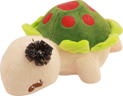 

Miss & Chief Turtle Stuffed Toy with Flower | Plush Toy | Animal Collectible Soft Stuffed Toy | Best Gift Toy for Kids - 20 cm(Green/Red)