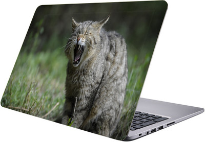 

PRINTCLUB angry cat Laptop Sticker 15.6 inch-Premium Quality, UV Printed, Laminated, Bubble Free, Scratchproof Laptop Skin-724 Vinyl Laptop Decal 15.6