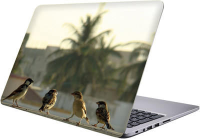 

PRINTCLUB many birds Laptop Sticker 15.6 inch-Premium Quality, UV Printed, Laminated, Bubble Free, Scratchproof Laptop Skin-92 Vinyl Laptop Decal 15.6