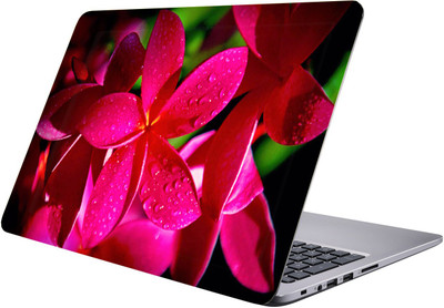 

LUCANT flowers Laptop Sticker 15.6 inch-Premium Quality, UV Printed, Laminated, Bubble Free, Scratchproof Laptop Skin-221 Vinyl Laptop Decal 15.6