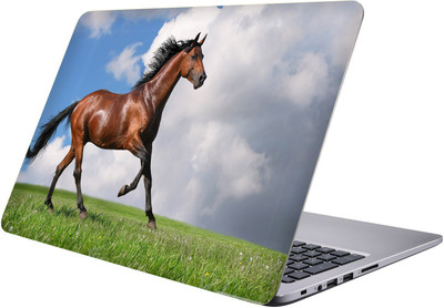 

LUCANT brown horse Laptop Sticker 15.6 inch-Premium Quality, UV Printed, Laminated, Bubble Free, Scratchproof Laptop Skin-357 Vinyl Laptop Decal 15.6