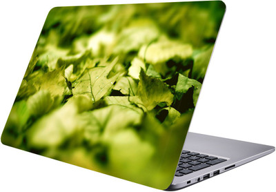 

LUCANT yellow leaf Laptop Sticker 15.6 inch-Premium Quality, UV Printed, Laminated, Bubble Free, Scratchproof Laptop Skin-45 Vinyl Laptop Decal 15.6