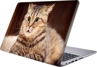 

LUCANT Laptop Sticker 15.6 inch-Premium Quality, UV Printed, Laminated, Bubble Free, Scratchproof Laptop Skin-131 Vinyl Laptop Decal 15.6