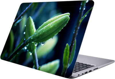 

LUCANT water drops Laptop Sticker 15.6 inch-Premium Quality, UV Printed, Laminated, Bubble Free, Scratchproof Laptop Skin-179 Vinyl Laptop Decal 15.6