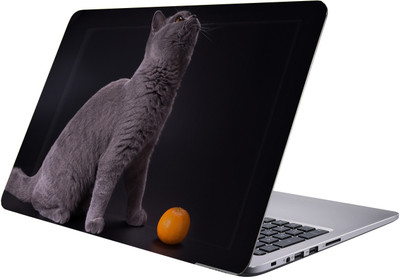 

LUCANT car Laptop Sticker 15.6 inch-Premium Quality, UV Printed, Laminated, Bubble Free, Scratchproof Laptop Skin-110 Vinyl Laptop Decal 15.6