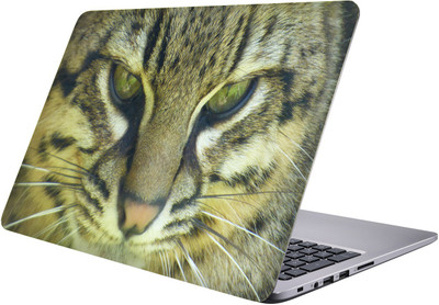 

LUCANT cat Laptop Sticker 15.6 inch-Premium Quality, UV Printed, Laminated, Bubble Free, Scratchproof Laptop Skin-313 Vinyl Laptop Decal 15.6