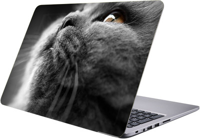 

LUCANT cat Laptop Sticker 15.6 inch-Premium Quality, UV Printed, Laminated, Bubble Free, Scratchproof Laptop Skin-205 Vinyl Laptop Decal 15.6