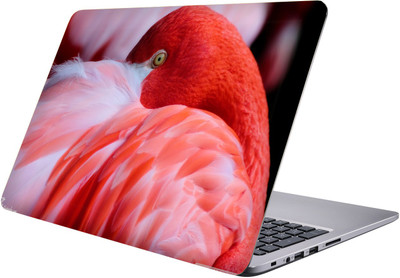 

PRINTCLUB Laptop Sticker 15.6 inch-Premium Quality, UV Printed, Laminated, Bubble Free, Scratchproof Laptop Skin-349 Vinyl Laptop Decal 15.6