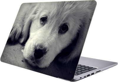 

LUCANT Laptop Sticker 15.6 inch-Premium Quality, UV Printed, Laminated, Bubble Free, Scratchproof Laptop Skin-359 Vinyl Laptop Decal 15.6
