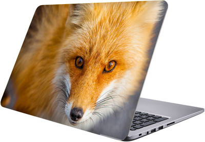 

LUCANT Laptop Sticker 15.6 inch-Premium Quality, UV Printed, Laminated, Bubble Free, Scratchproof Laptop Skin-352 Vinyl Laptop Decal 15.6