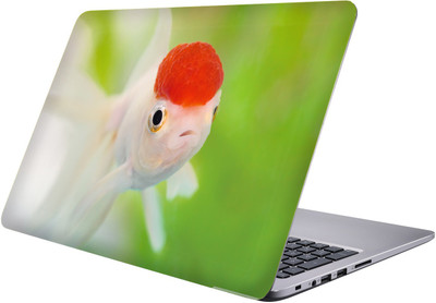 

LUCANT fish Laptop Sticker 15.6 inch-Premium Quality, UV Printed, Laminated, Bubble Free, Scratchproof Laptop Skin-109 Vinyl Laptop Decal 15.6