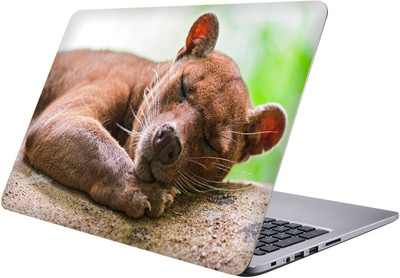 

PRINTCLUB Laptop Sticker 15.6 inch-Premium Quality, UV Printed, Laminated, Bubble Free, Scratchproof Laptop Skin-22 Vinyl Laptop Decal 15.6