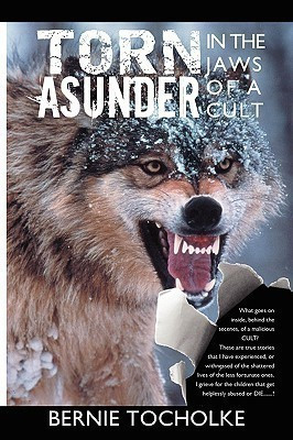 Torn Asunder(English, Paperback, Tocholke Bernie)