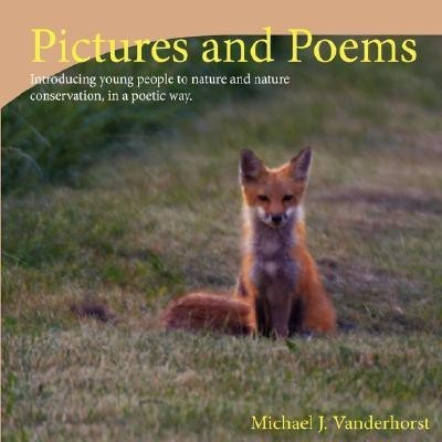 Pictures and Poems Book 2(English, Paperback, Vanderhorst Michael J.)