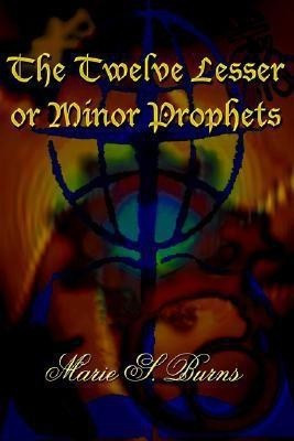 The Twelve Lesser or Minor Prophets(English, Paperback, Burns Marie S.)