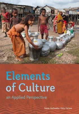 Elements of Culture : An Applied Perspective(English, Paperback, Andreatta Susan)