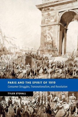 Paris and the Spirit of 1919(English, Paperback, Stovall Tyler)