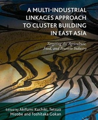 A Multi-Industrial Linkages Approach to Cluster Building in East Asia(English, Hardcover, unknown)