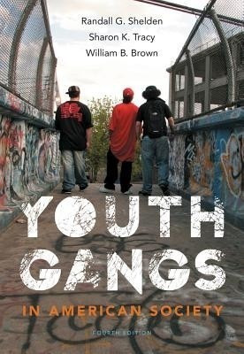 Youth Gangs in American Society(English, Paperback, Shelden Randall)