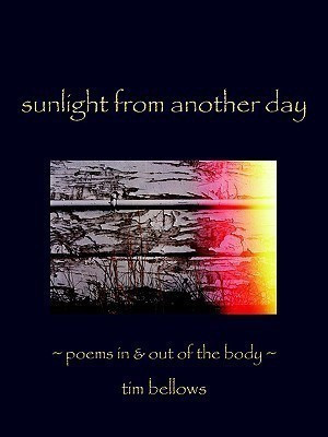 Sunlight From Another Day(English, Paperback, Bellows Tim)