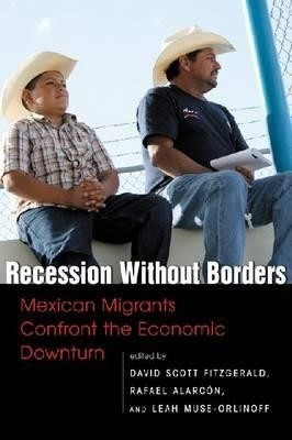Recession without Borders(English, Paperback, Fitzgerald David)