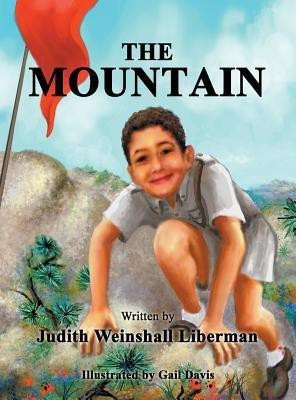 The Mountain(English, Hardcover, Liberman Judith Weinshall)