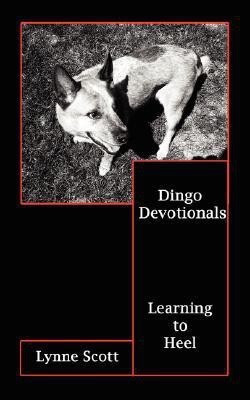 Dingo Devotionals(English, Paperback, Scott Lynne)
