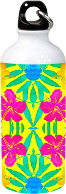 

Grazios Beautiful Fashion Typography Printed Stainless Steel 600 ml Sipper(Pack of 1, Multicolor), White