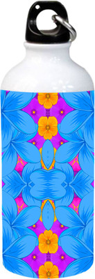 

Grazios Beautiful Fashion Typography Printed Stainless Steel 600 ml Sipper(Pack of 1, Multicolor)