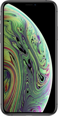 (Refurbished) Apple iPhone XS (Space Grey, 64 GB)