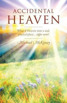 Accidental Heaven(English, Paperback, McKinsey Michael)