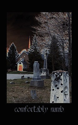 Comfortably Numb(English, Paperback, Dillinger Daniel)