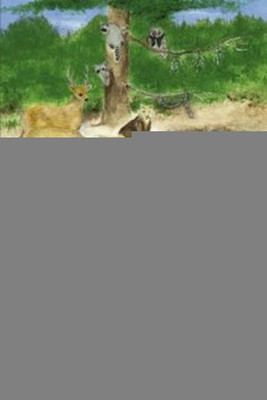 We're All Special(English, Paperback, Dennis Joyce Taylor)