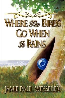 Where The Birds Go When It Rains(English, Hardcover, Wesseler Jamie Paul)