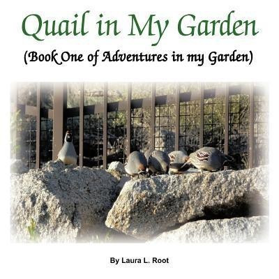 Quail in My Garden(English, Paperback, Root Laura L.)