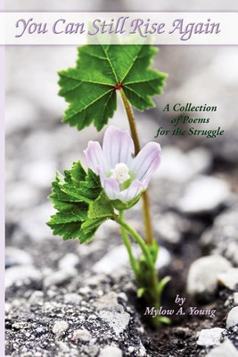 You Can Still Rise Again(English, Paperback, Young Mylow A.)