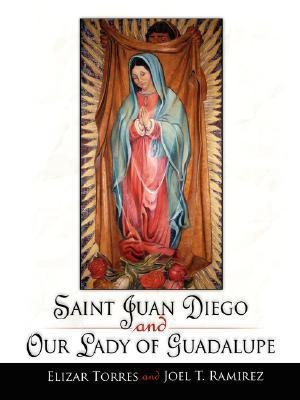 Saint Juan Diego and Our Lady of Guadalupe(English, Paperback, Torres Elizar)