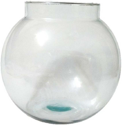 

Nogaiya 3.25 L Fish Bowl
