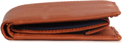 

Wildland Men Tan Artificial Leather Wallet(10 Card Slots)