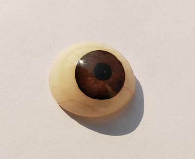 

visioncareindia DARK BROWN Artificial Eye