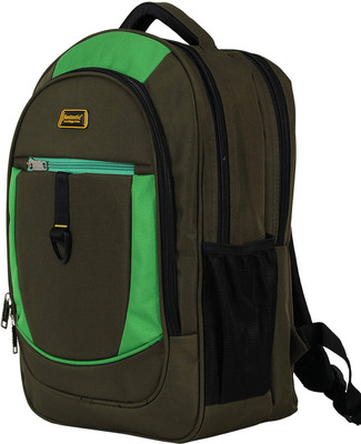 

Fantastic bags green coloured laptop/Multipurpose 30 L Backpack(Brown)