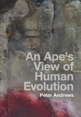 An Ape's View of Human Evolution(English, Hardcover, Andrews Peter)