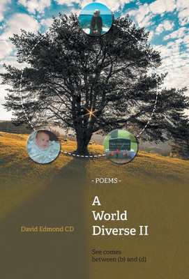 A World Diverse II(English, Hardcover, Edmond David)