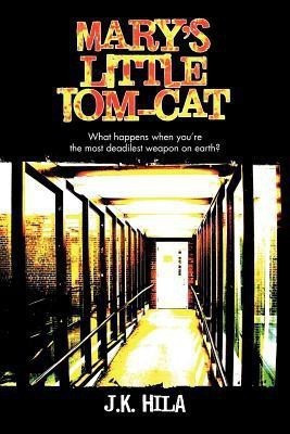Mary's Little Tom-cat(English, Paperback, Hila J.K.)