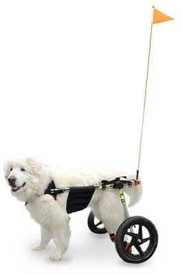 

GTS GSTW113 Pet Wheelchair